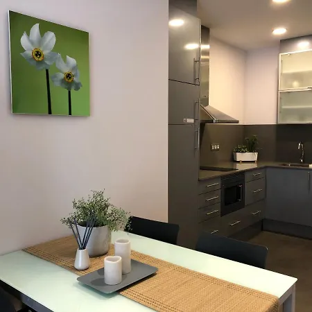 Fisa Gran Via Daire *