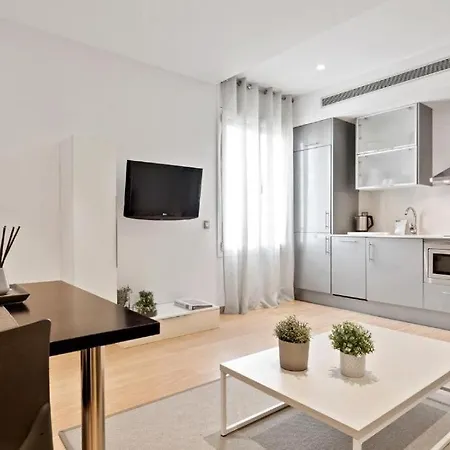 Fisa Gran Via Apartment *